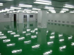 環(huán)氧凈化地板