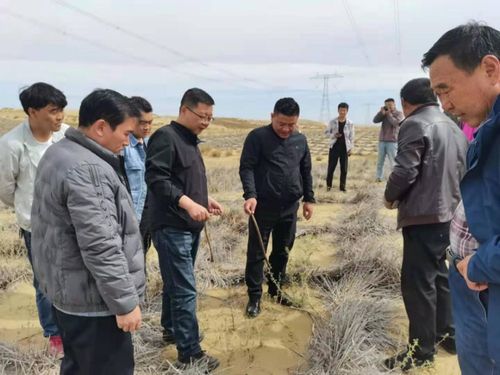 省林草局強化重點生態(tài)工程專項督查，保障建筑工程與生態(tài)保護協(xié)調(diào)發(fā)展